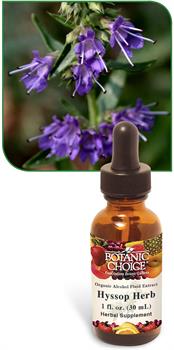Hyssop Herb Liquid Extract